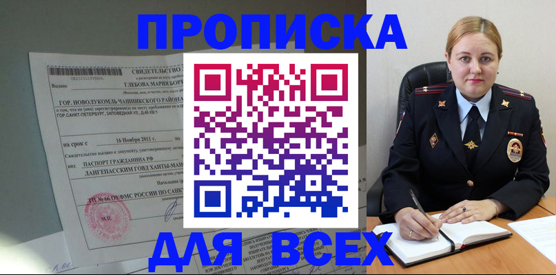 прописка поиск в Щёлково